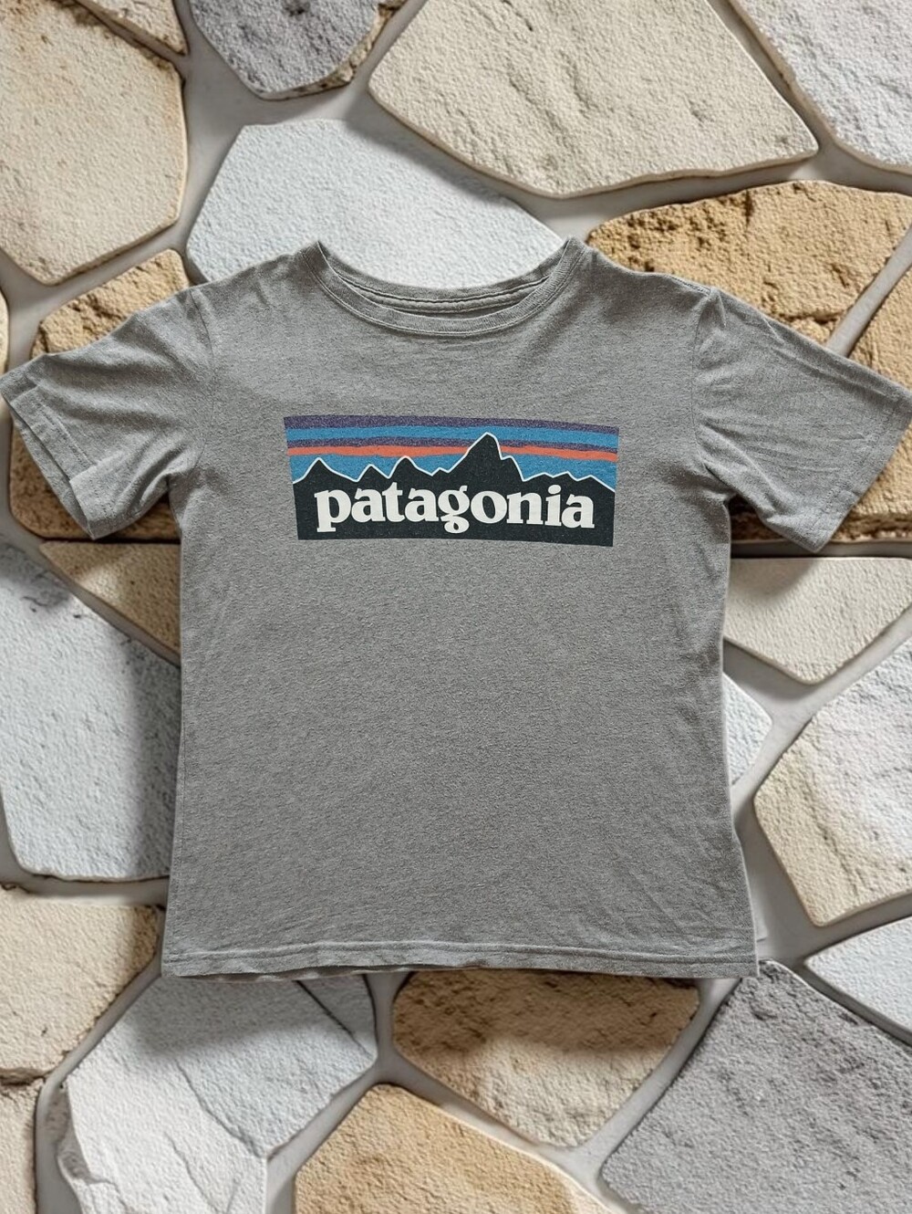 Patagonia 100% Organic Cotton Grey Logo T-Shirt